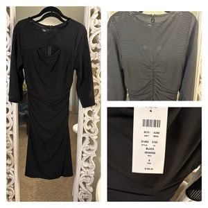 Cache…Black dress…New with tags